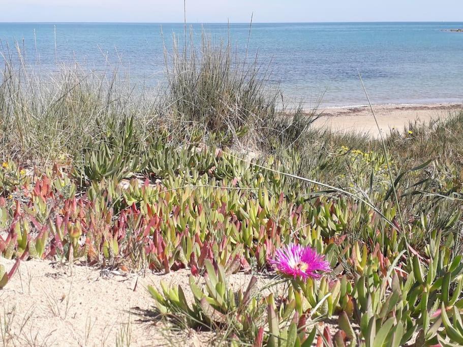 Apartamento Denia'S Beach House - Colibri Exterior foto